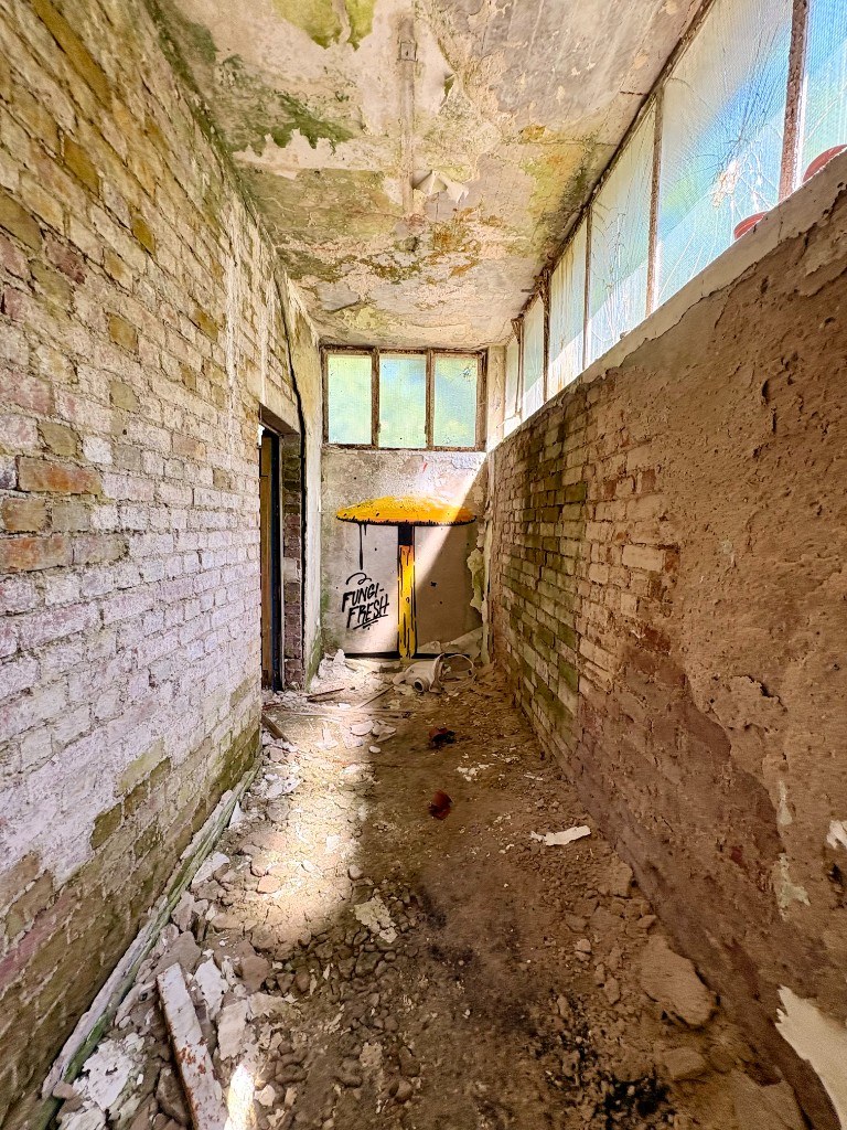 Abandoned corridor — distance view with yellow fruiting body