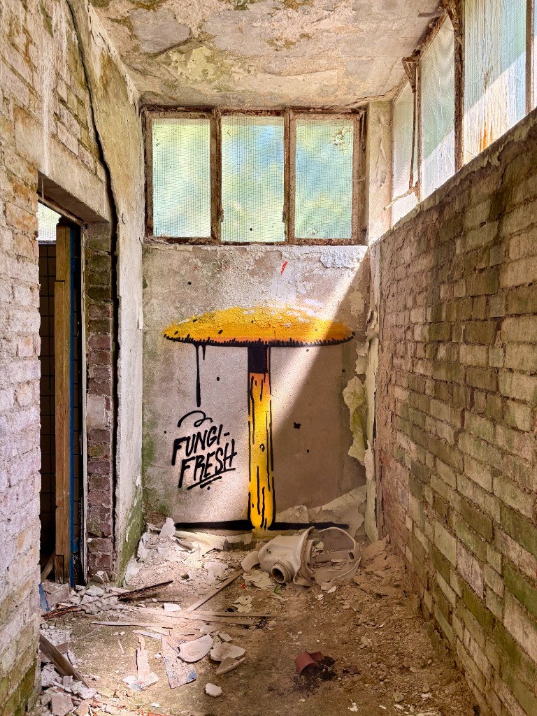 Abandoned corridor — close view of yellow fruiting body intervention