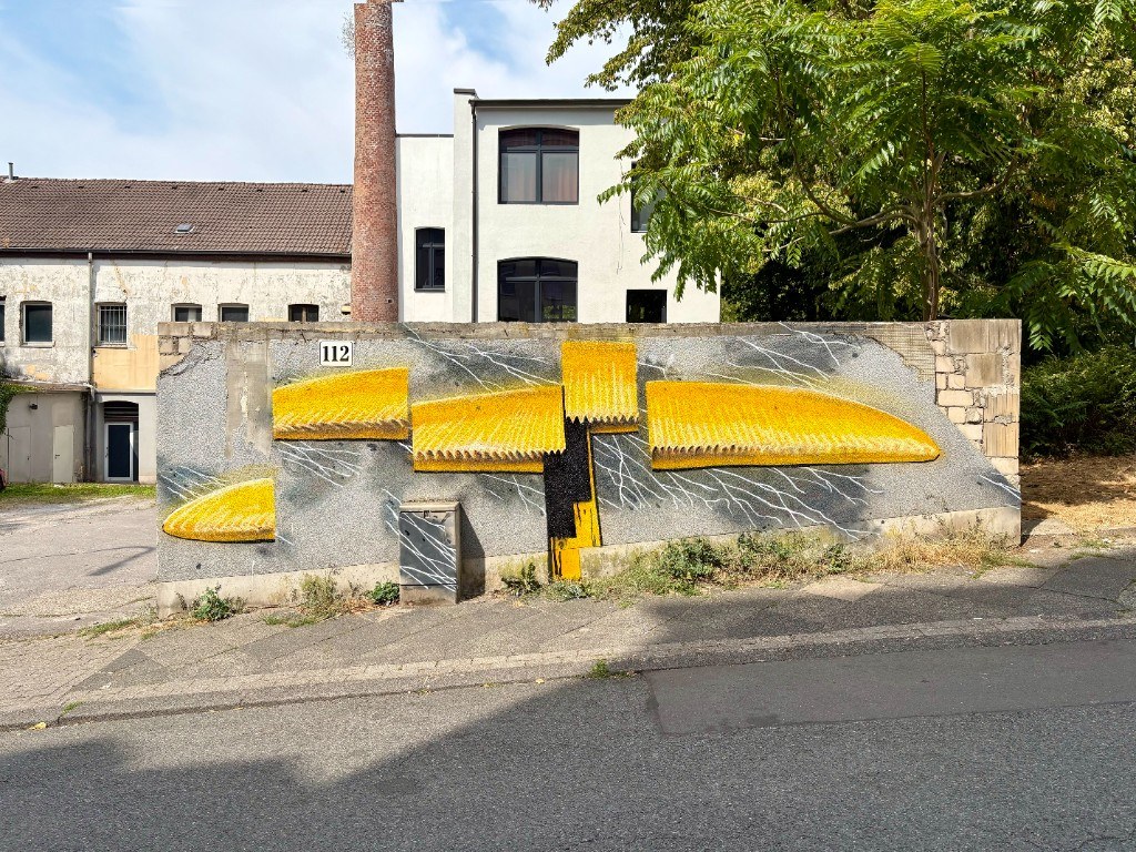 Urban Mycelium – Gesundheitstraße, Wuppertal