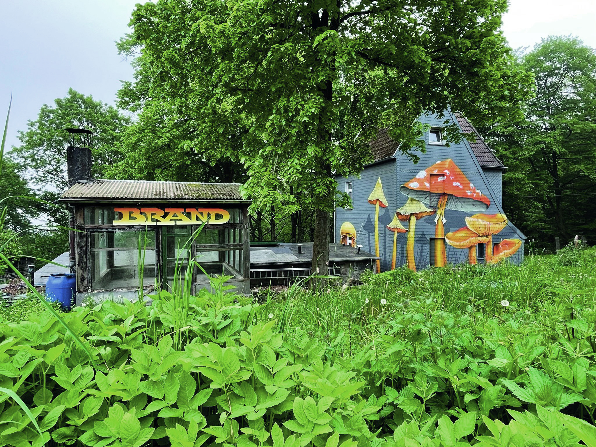 Mushroom House — Königshöhe, Fungi Fresh, Wuppertal 2023