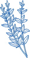 h-icon3
