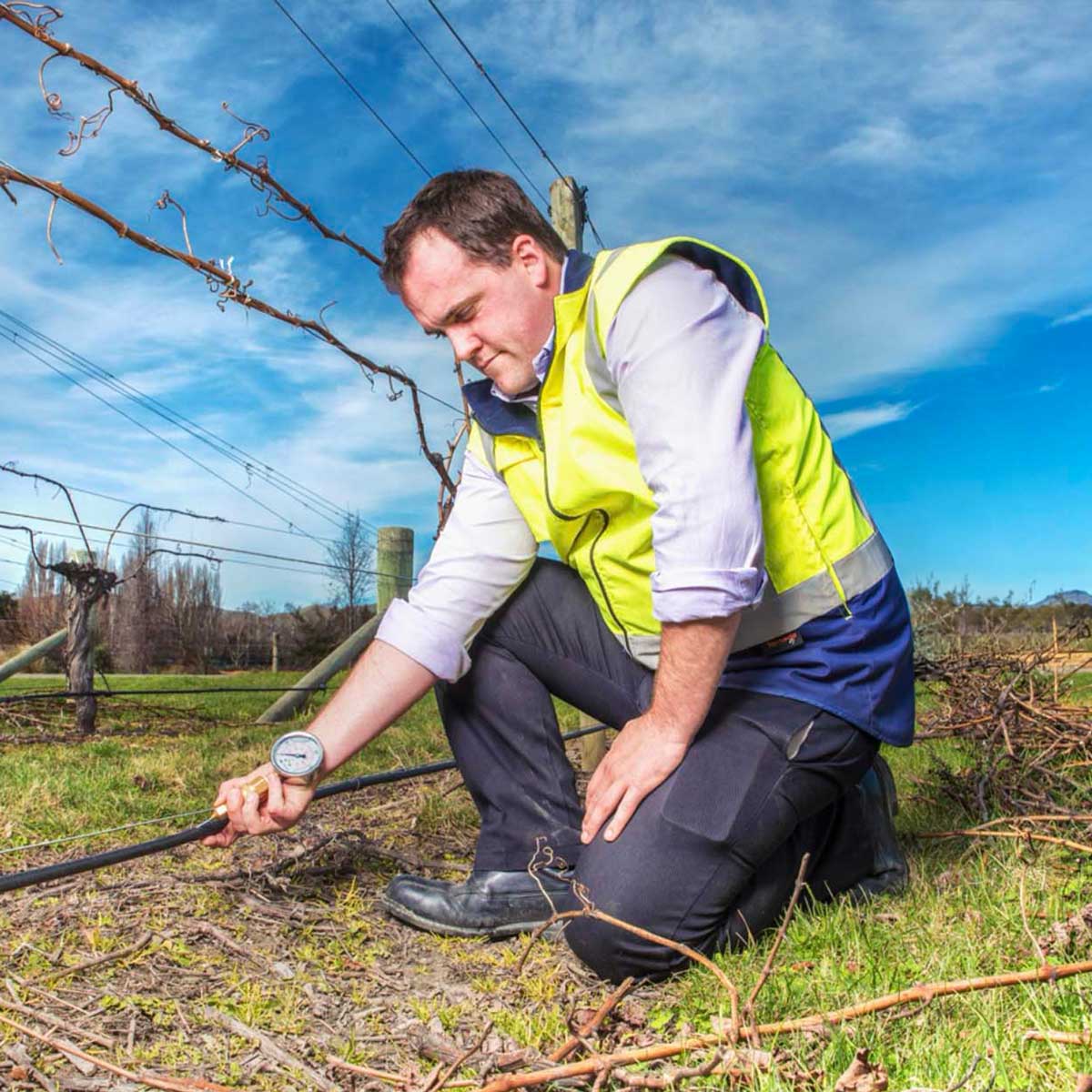 Man in a yellow safety vest kneeling in a vineyard, holding a pressure gauge attached to a hose.