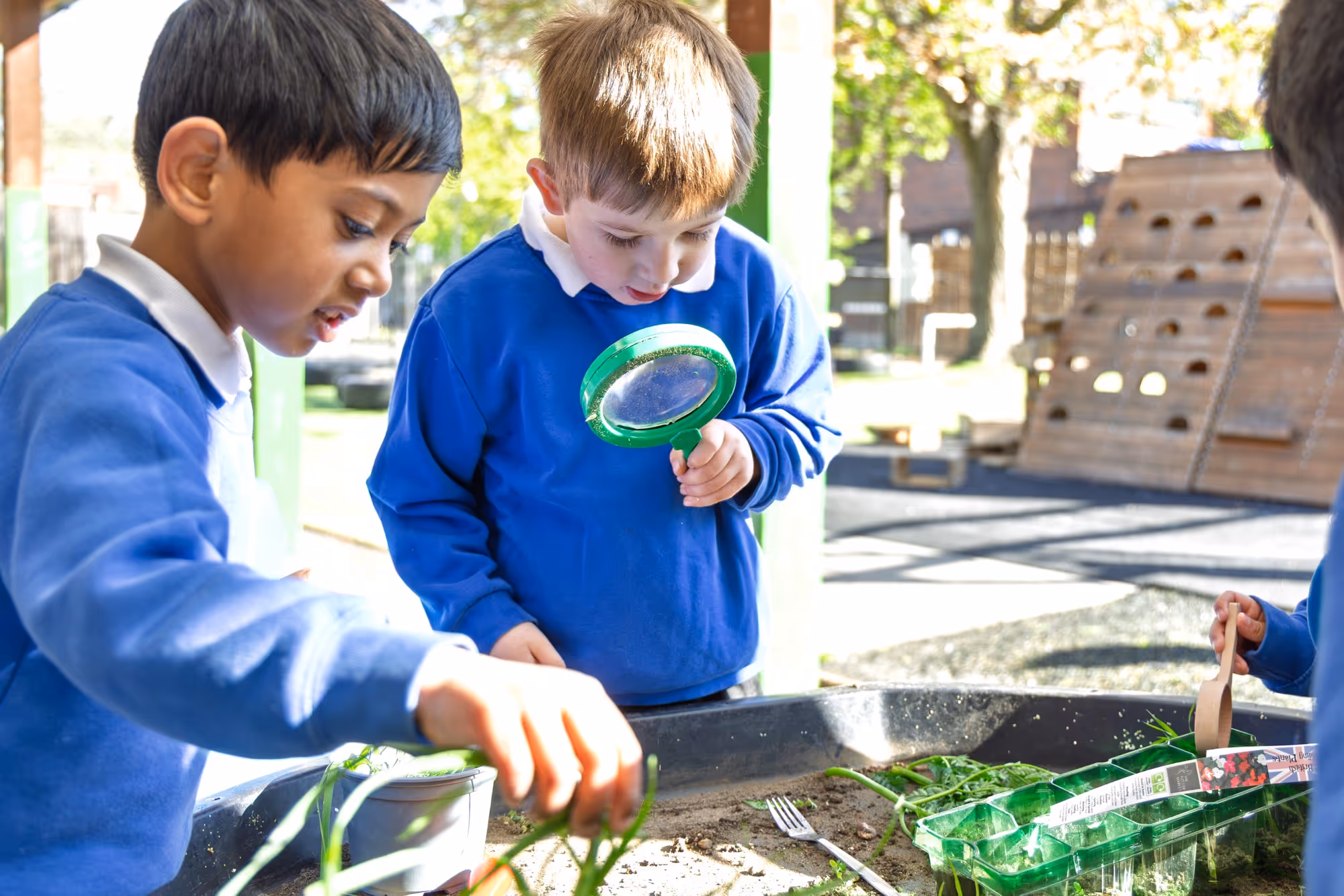 Children in blue school uniforms examining plants and soil with a magnifying glass outdoors.