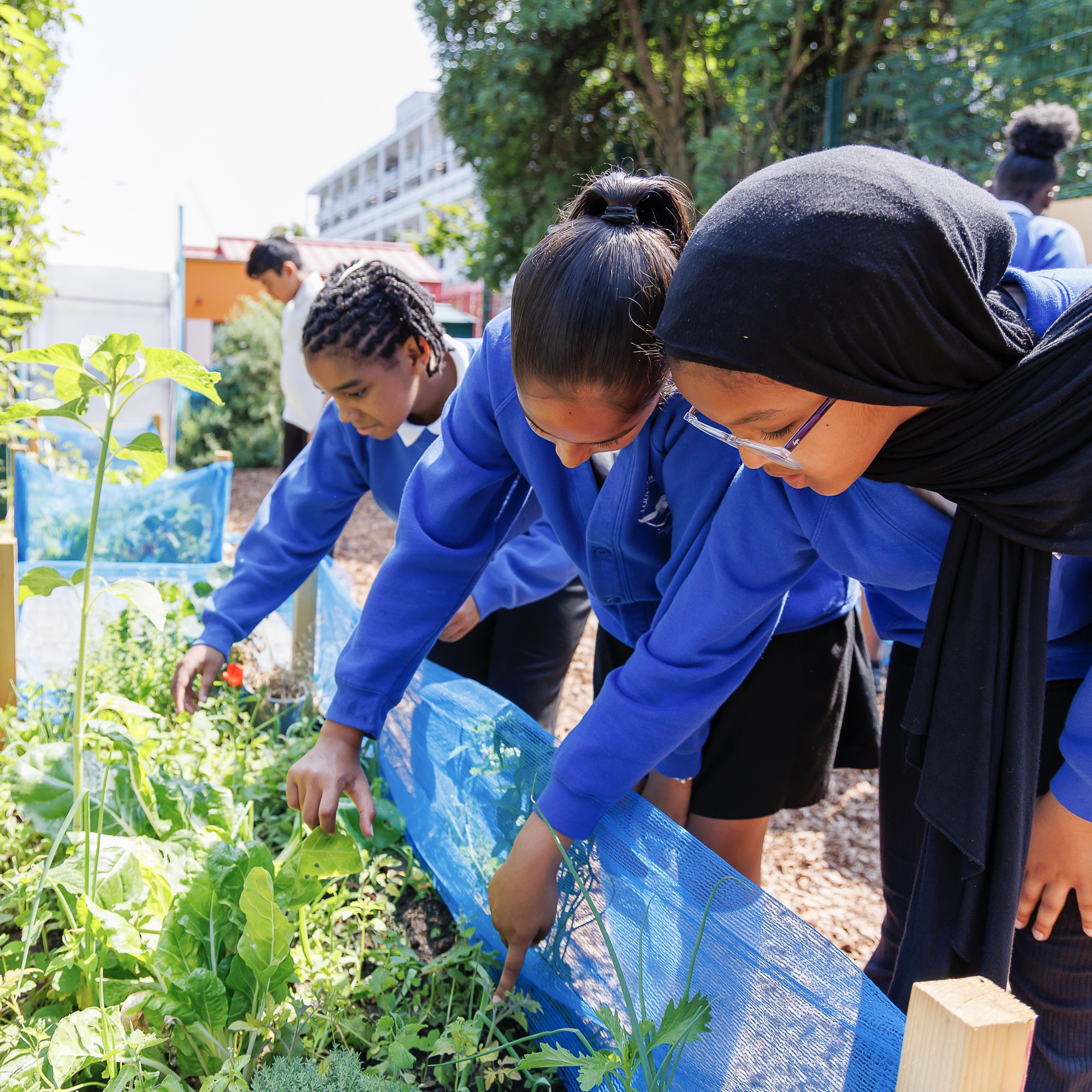Three schoolchildren in blue uniforms explore plants in a raised garden bed outdoors.