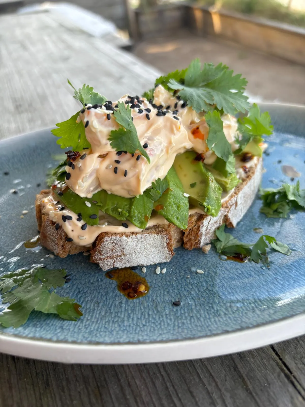 Belegtes Brot mit Avocadoscheiben, Frischkäse mit schwarzem Sesam und Koriander auf blauem Teller.