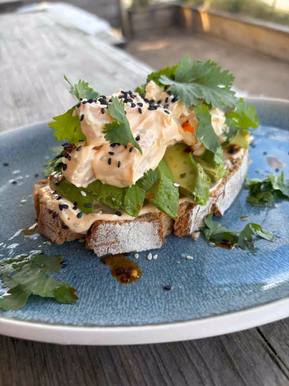 Belegtes Brot mit Avocadoscheiben, Frischkäse mit schwarzem Sesam und Koriander auf blauem Teller.