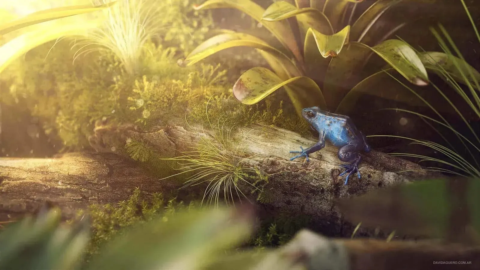 Blue frog perched on a log surrounded by green plants and sunlight.