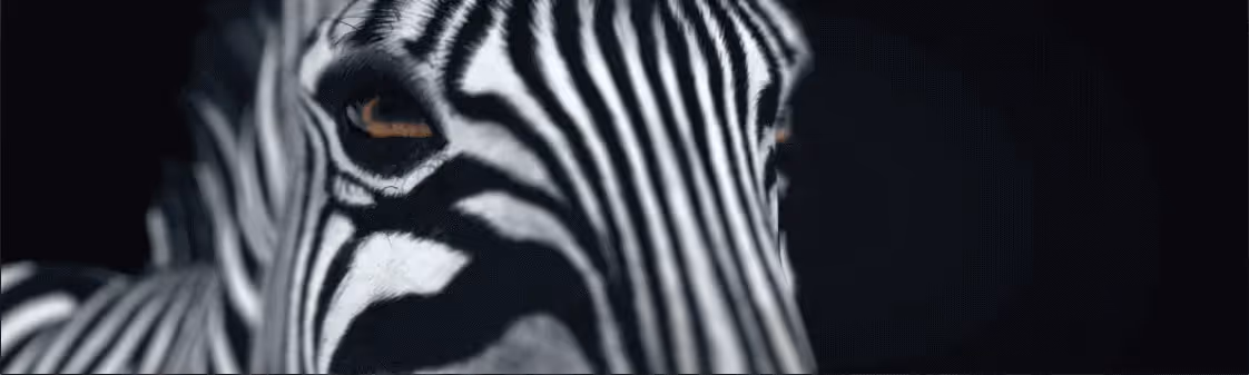 Wicked Pixels Animation VFX