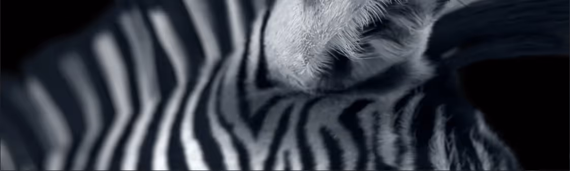 Wicked Pixels Animation VFX