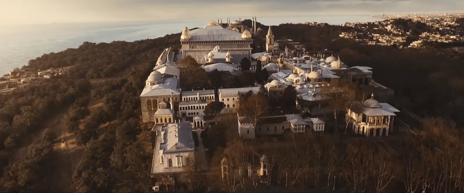 Paperbones CG Palace