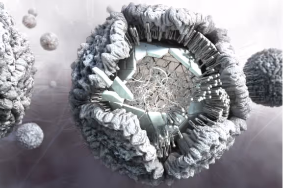 Zika Virus, Part to whole