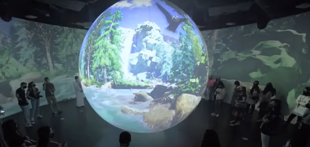 Surround screen savants