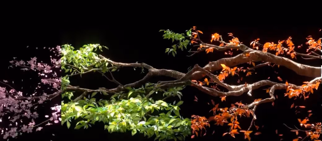 Surround screen savants