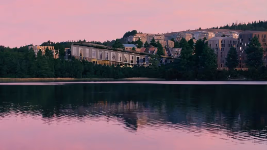 Romanian renderer article featured image