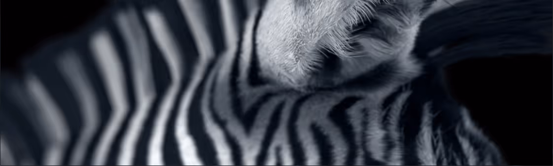 Wicked Pixels Animation VFX