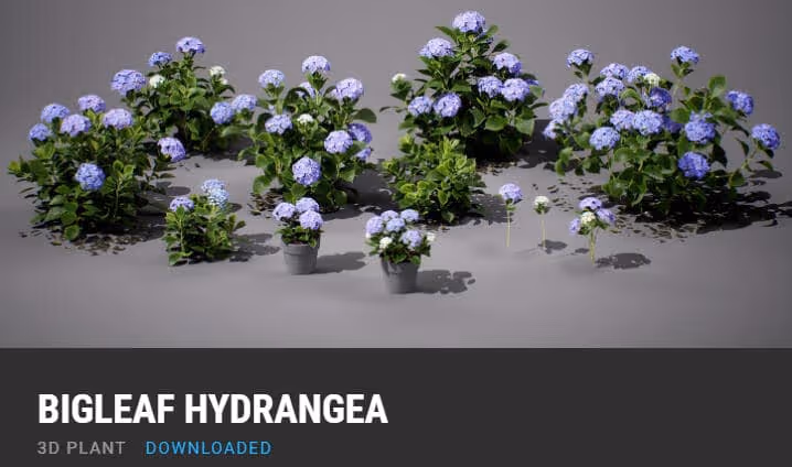 The best way to learn 3ds Max