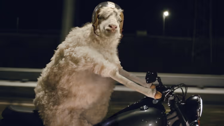 To Maya or not to Maya