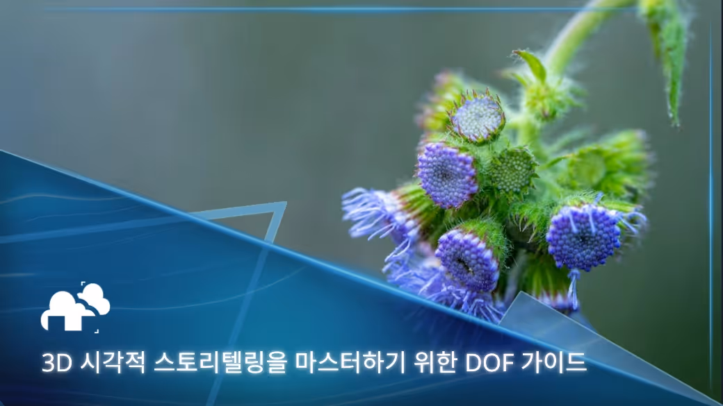 DOF(Depth of field)이해: 3D 시각적 스토리텔링 마스터 가이드