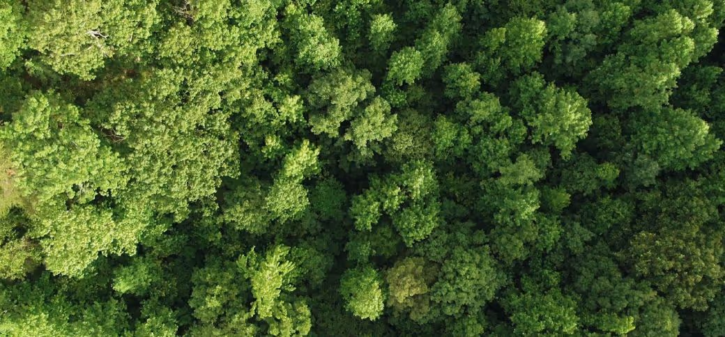 Render farms and the sustainability question: Energy use and carbon footprint