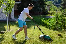 Mowing the whole lawn