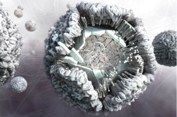 Zika Virus, Part to whole