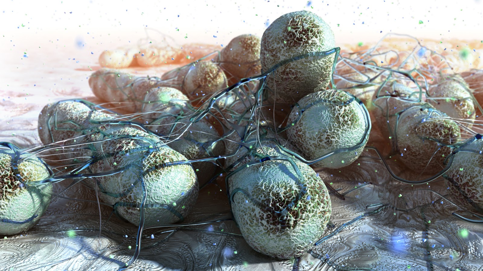 Pseudomonas aeruginosa Biofilm, Part to Whole