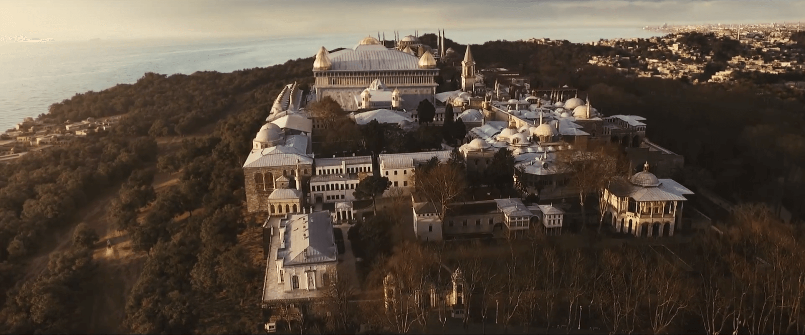 Paperbones CG Palace
