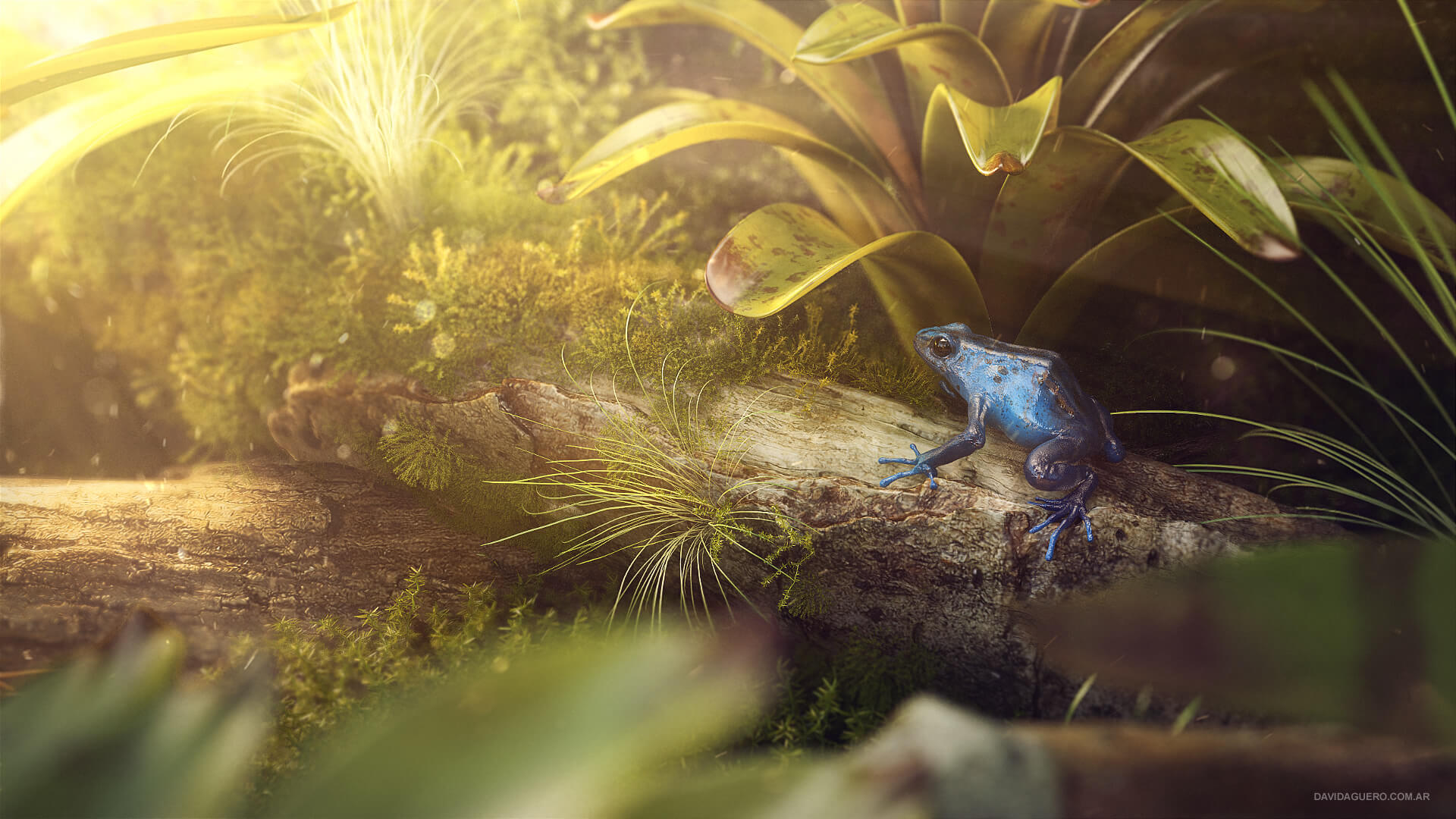David Aguero realistic frog