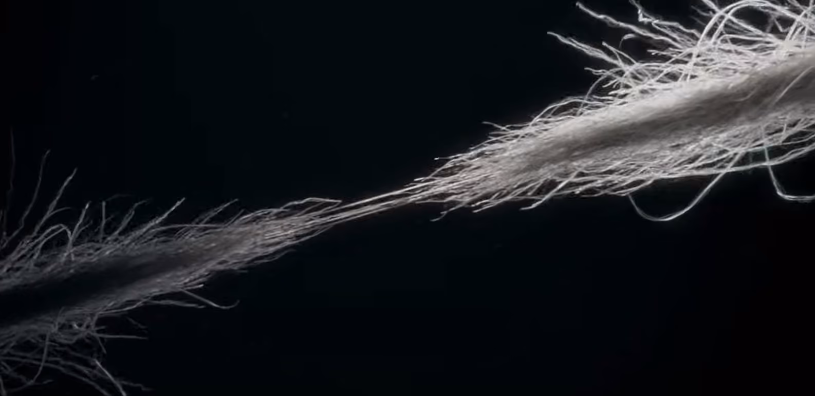 The Render Farm For NPR: More Than Just Photorealistic 3D Rendering