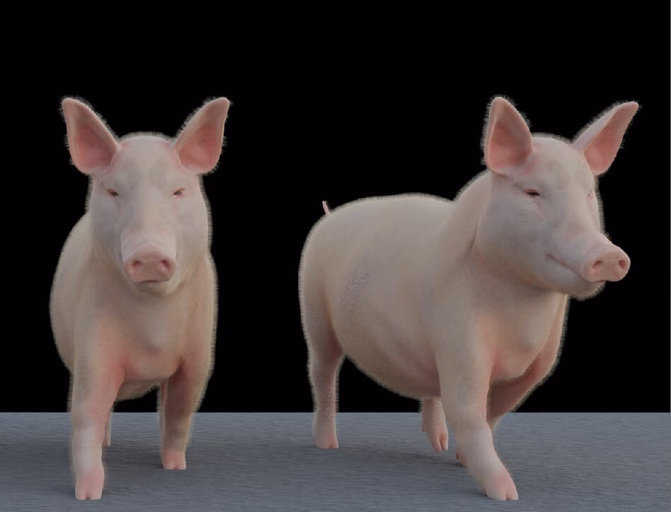 AlembicのアセットでCinema 4D のジグルデフォーマを使用する方法