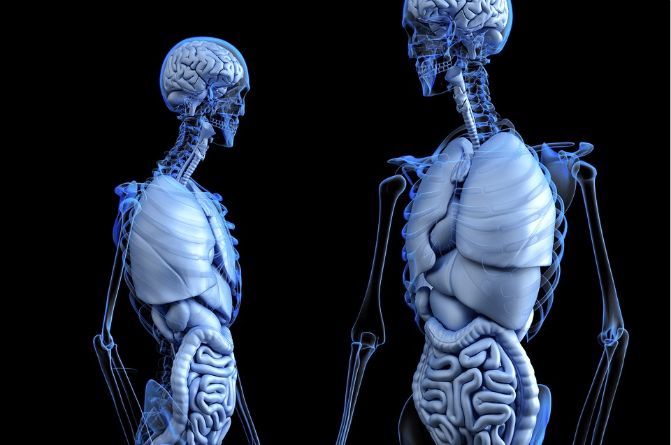 Modern Day 3D Medical Visual Communication