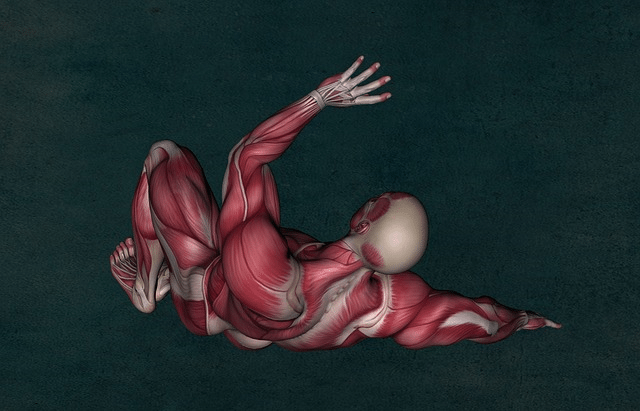 Medical visual communication, medical animation
