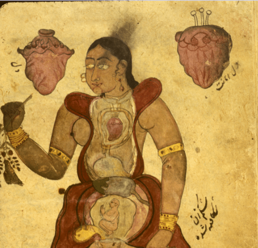 History of Medical Visual Communication: the Marriage of Art and Medicine