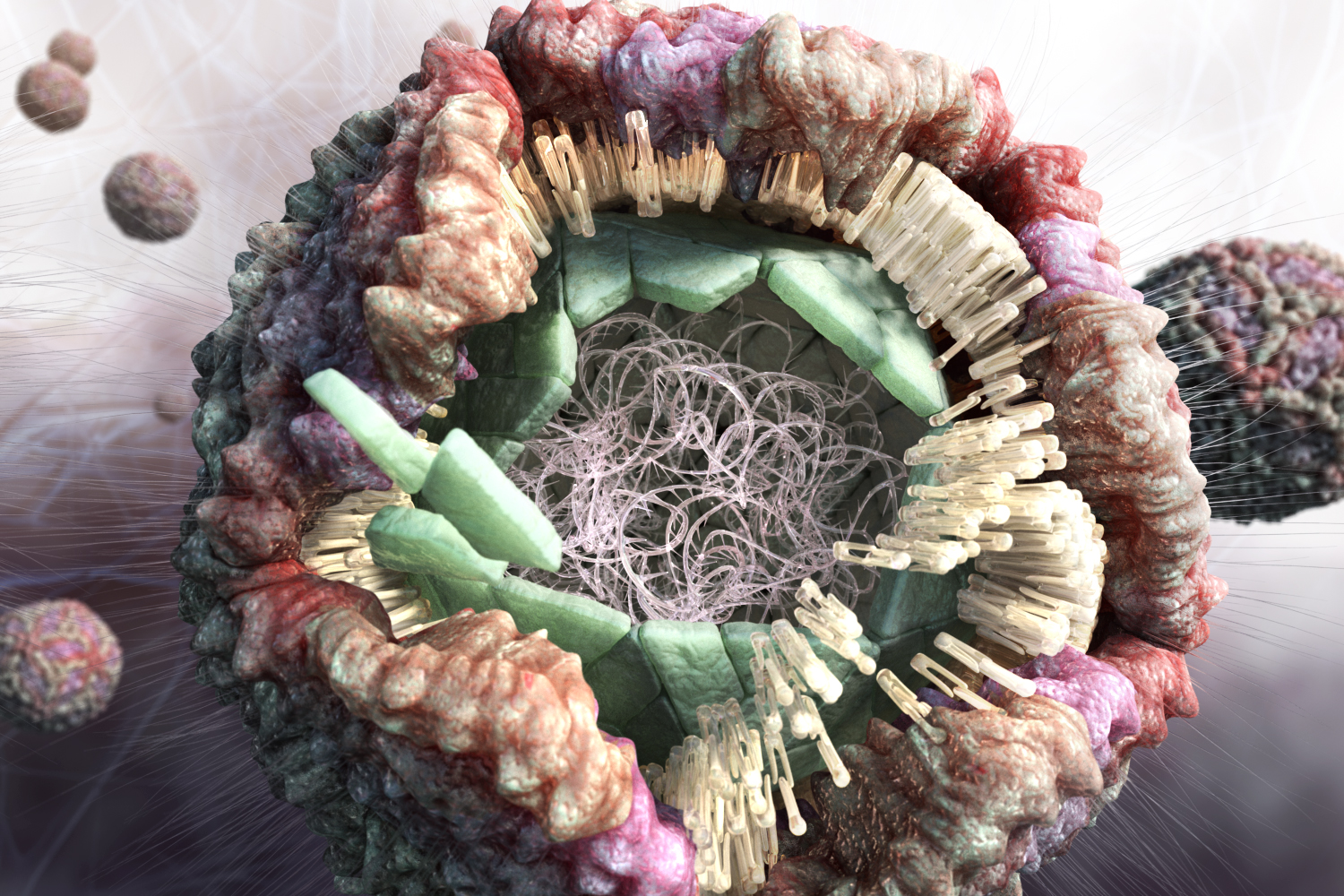 medical visual communication, medical animation, Zika Virus