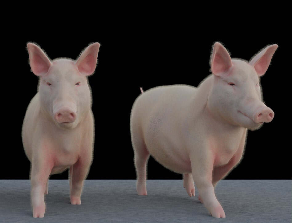 Using Cinema 4D’s Jiggle Deformer on an Alembic asset