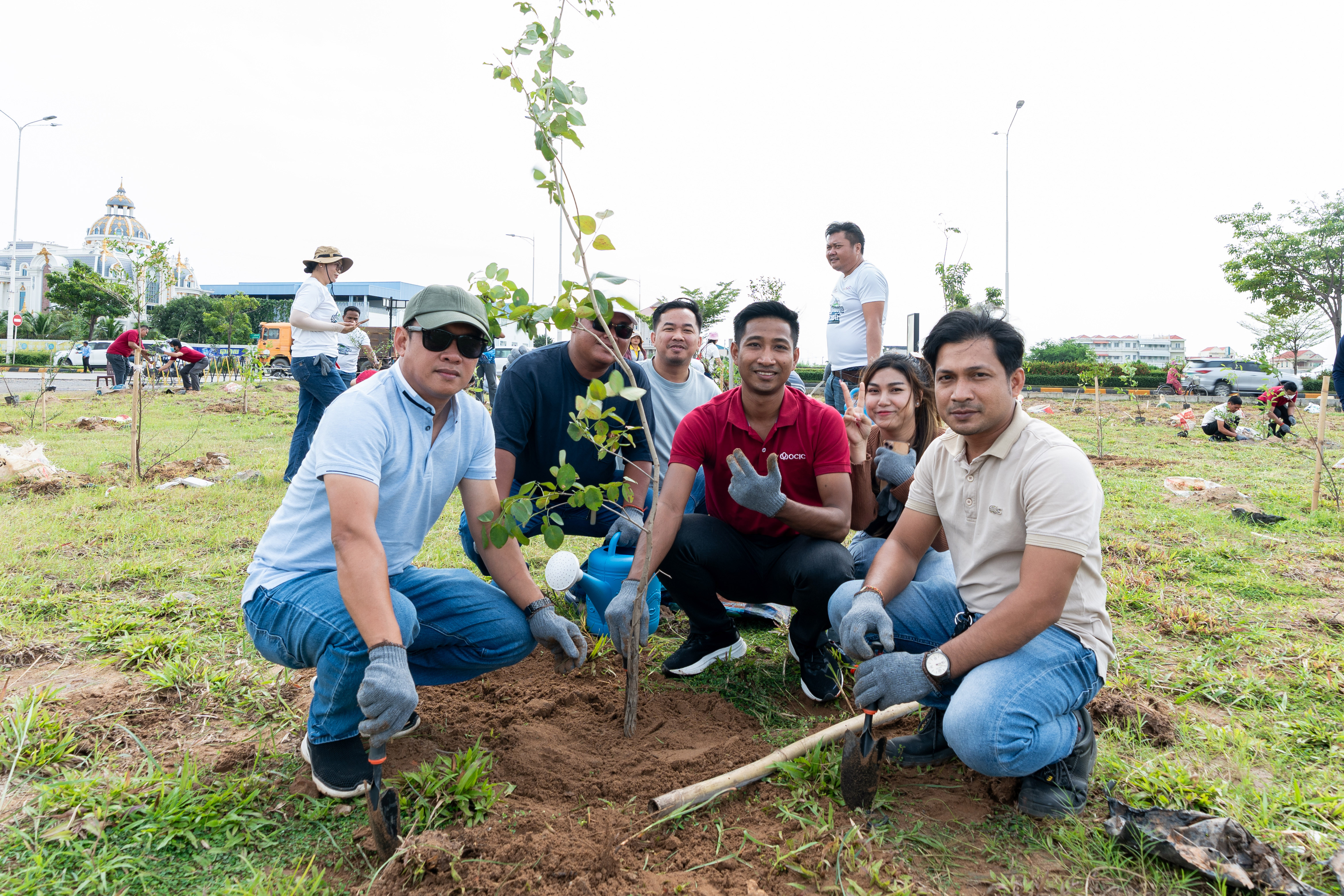 Tree planting participants