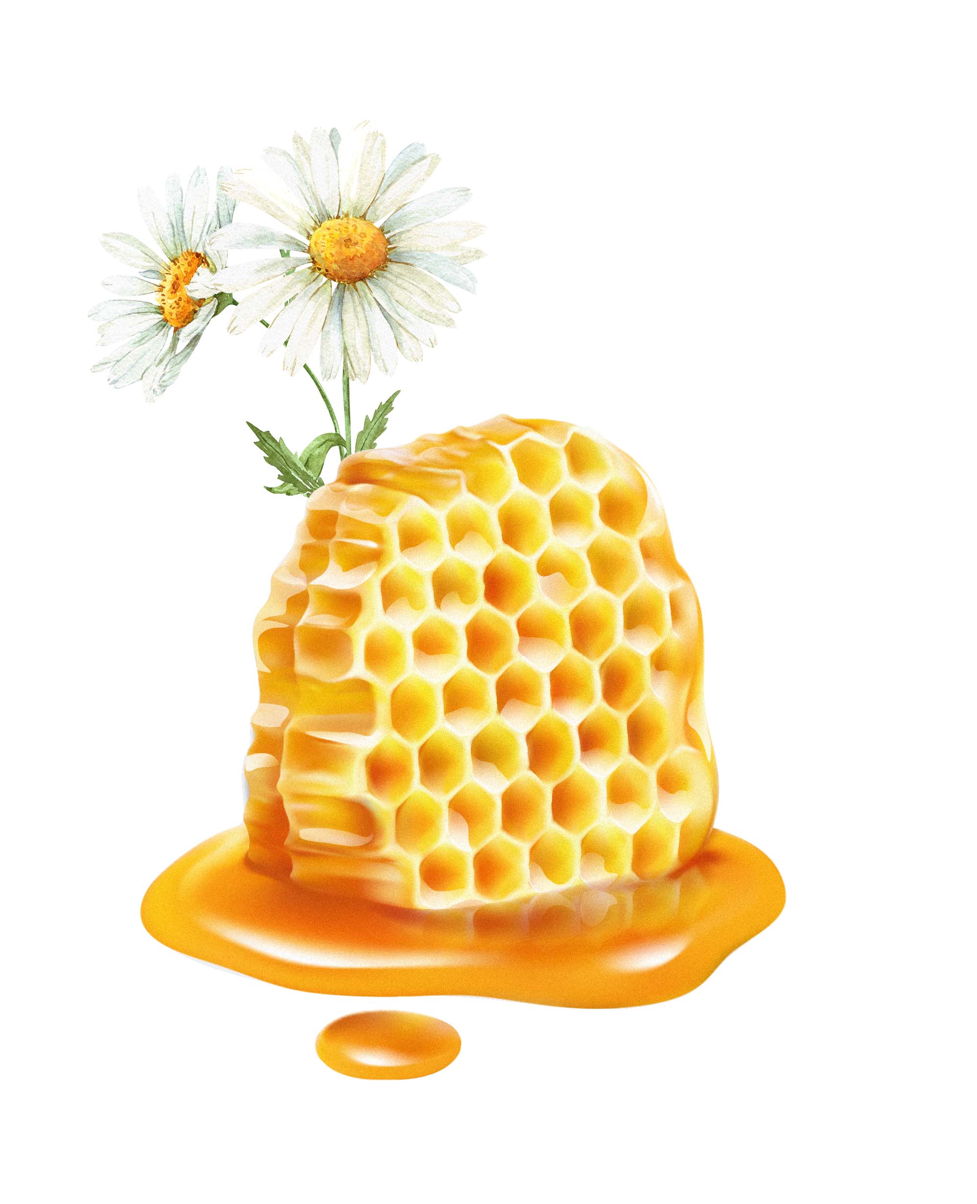 ДЖЕМ ЛОХИНА FLORIT 