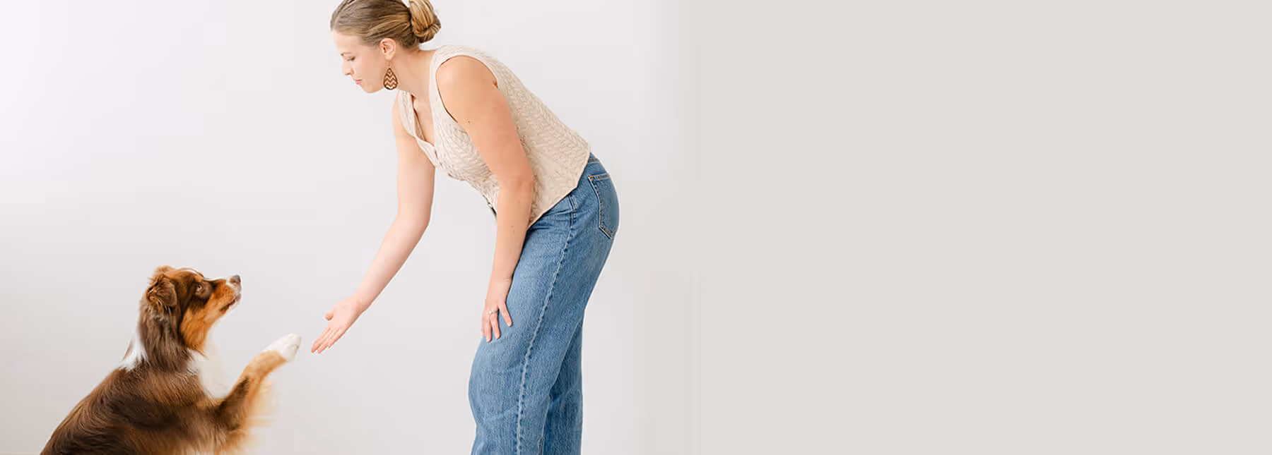 Woman in sleeveless top and jeans giving paw to a brown and white dog.