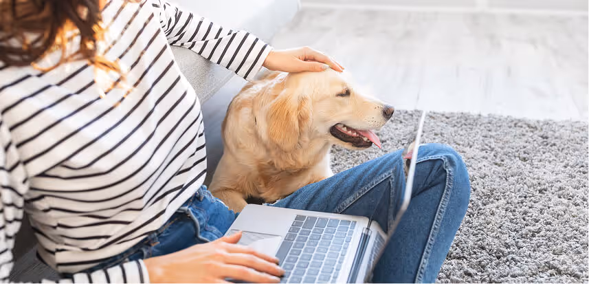 Person petting a golden retriever while using a laptop on a carpeted floor.