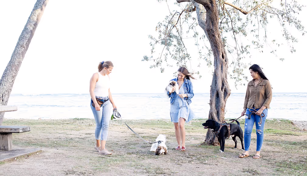 Three women outdoors with three dogs near a tree on grassy ground by a large body of water.
