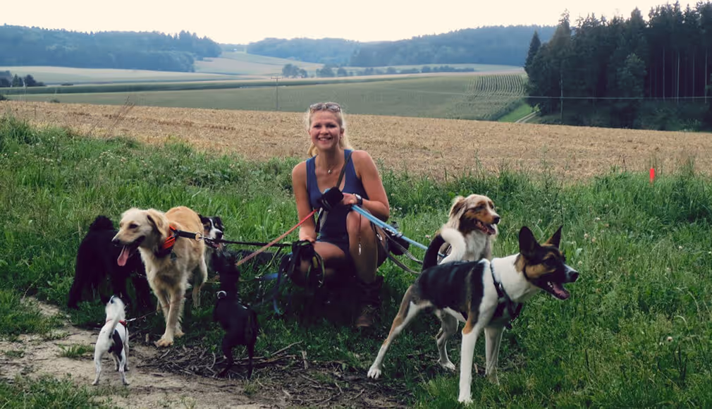 Woman crouches smiling while walking seven dogs on leashes in a grassy field with trees and hills behind.