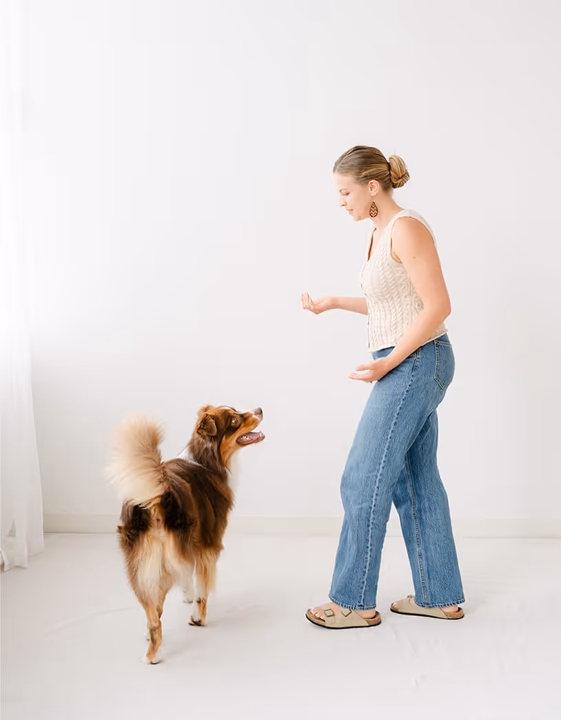 Woman in jeans and beige top interacting with a happy brown and white dog indoors.