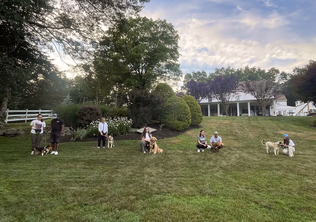 Five people sitting or standing with their dogs on a grassy lawn with trees and a white house in the background.