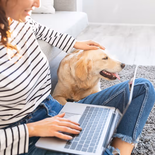 Woman sitting on floor with laptop, petting a happy golden retriever beside her.