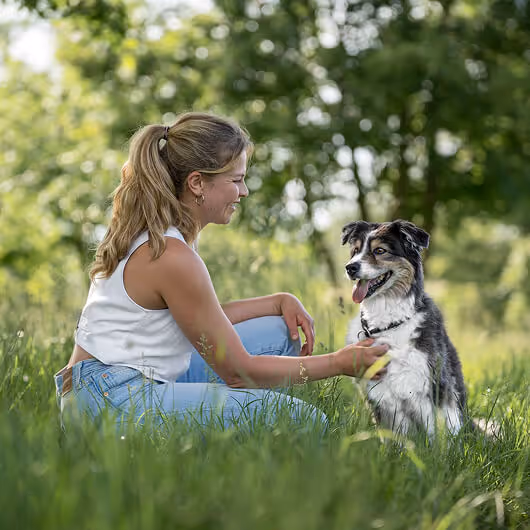 Woman sitting in grass smiling while petting a happy black and white dog outdoors.