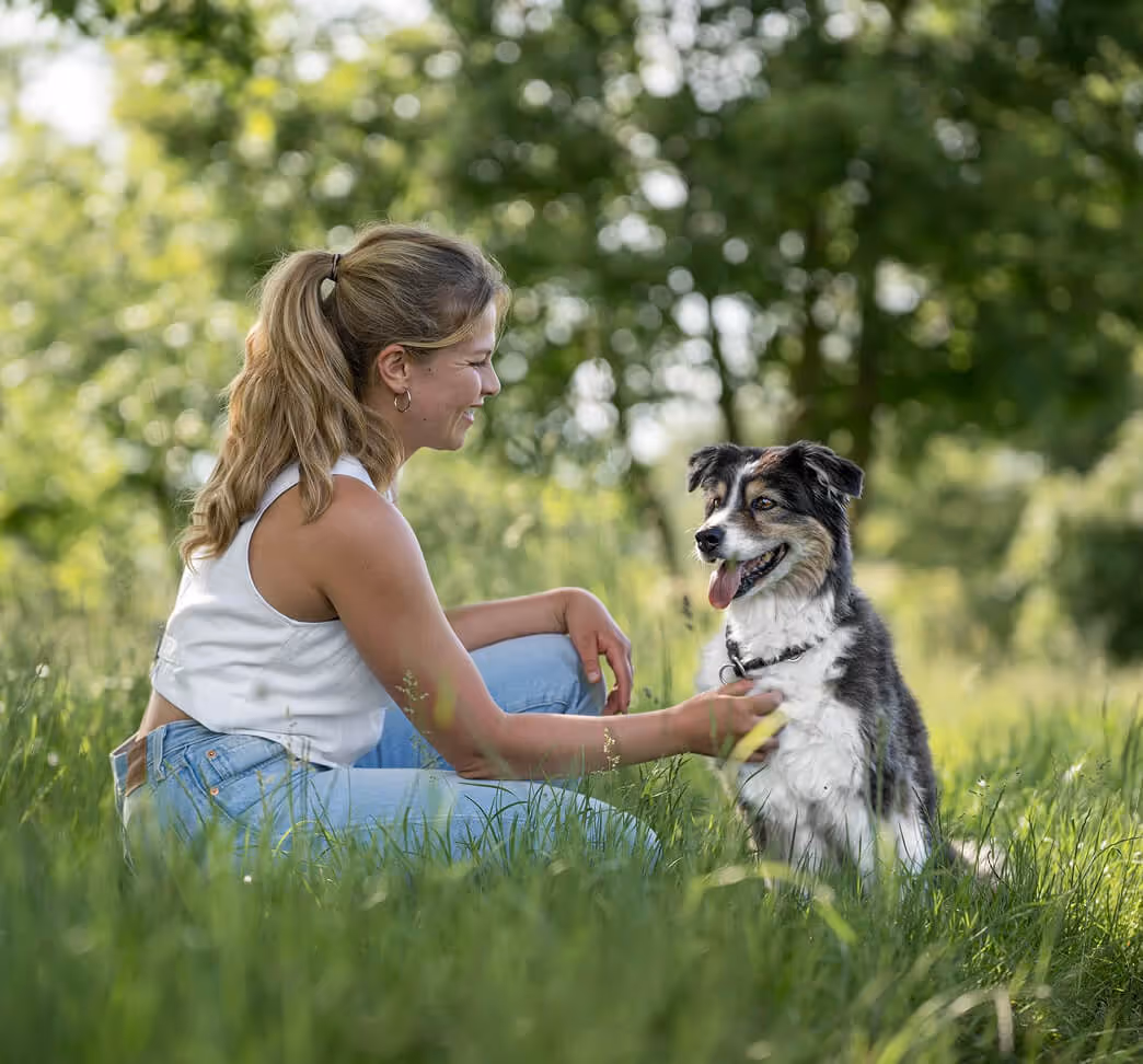 Woman sitting in grass brushing a happy black and white dog outdoors in a sunny park.