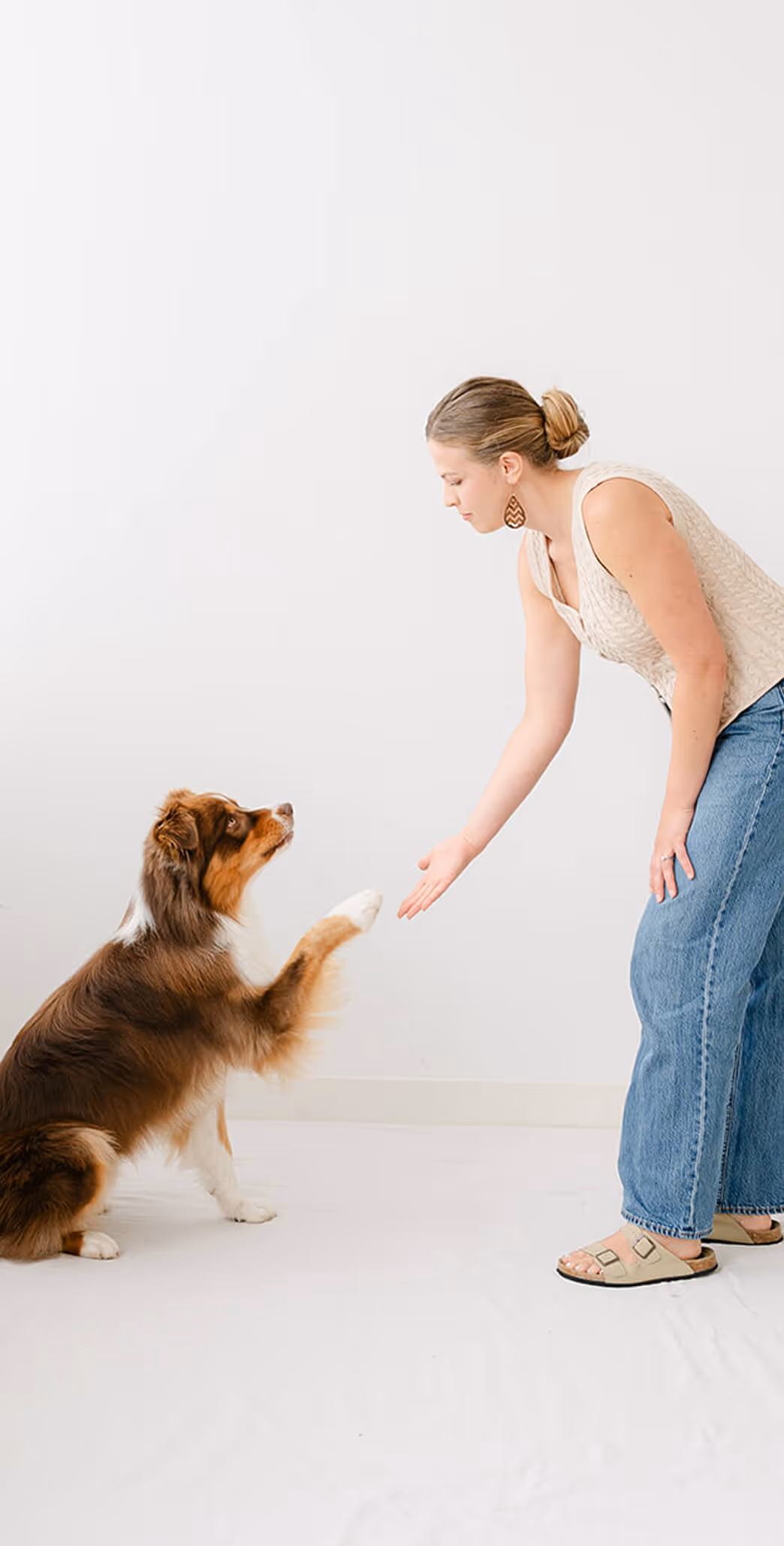 Woman in beige top and jeans giving paw to brown and white dog indoors.