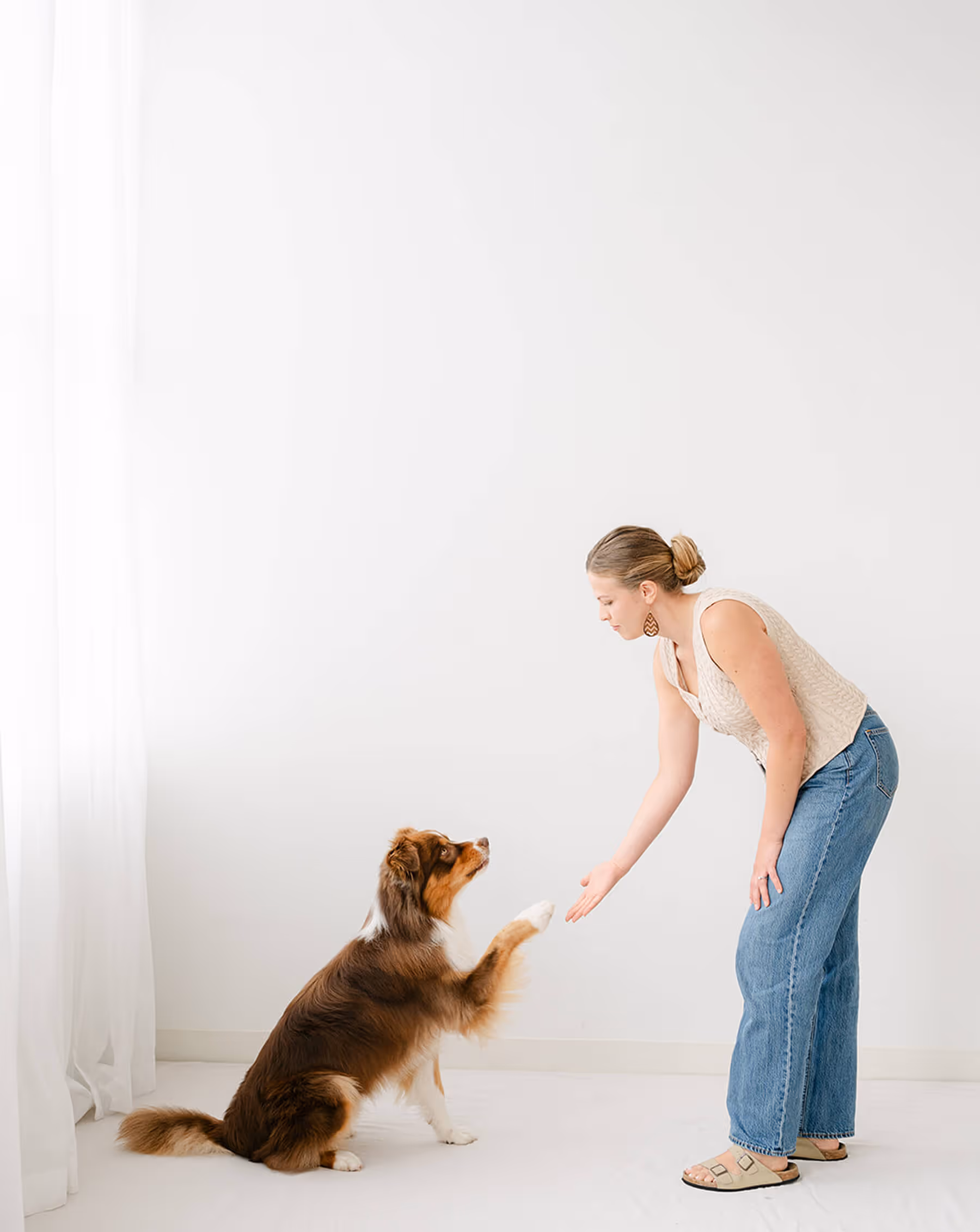 Woman in casual outfit bending to shake paw with a brown and white dog indoors.