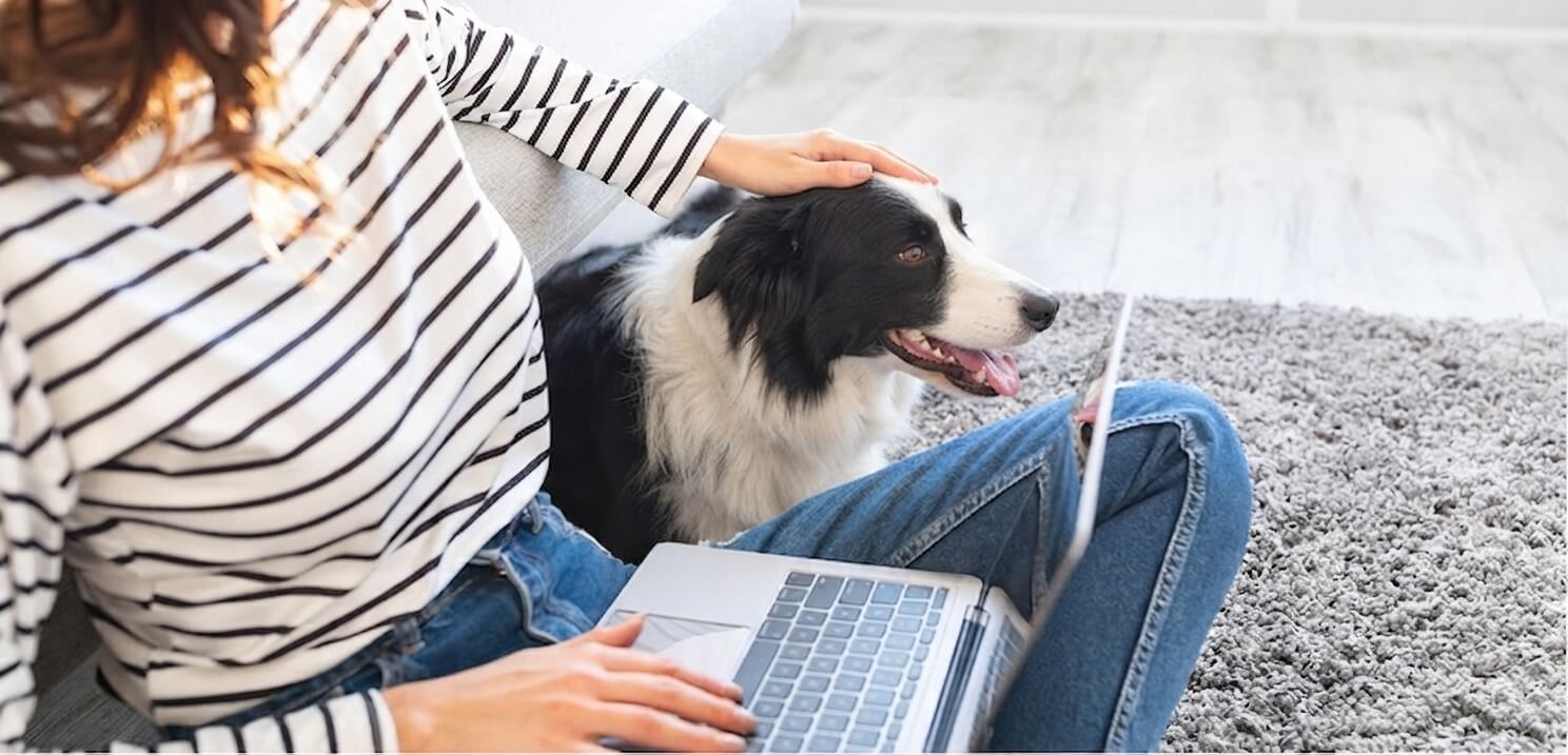 Person petting a golden retriever while using a laptop on a carpeted floor.