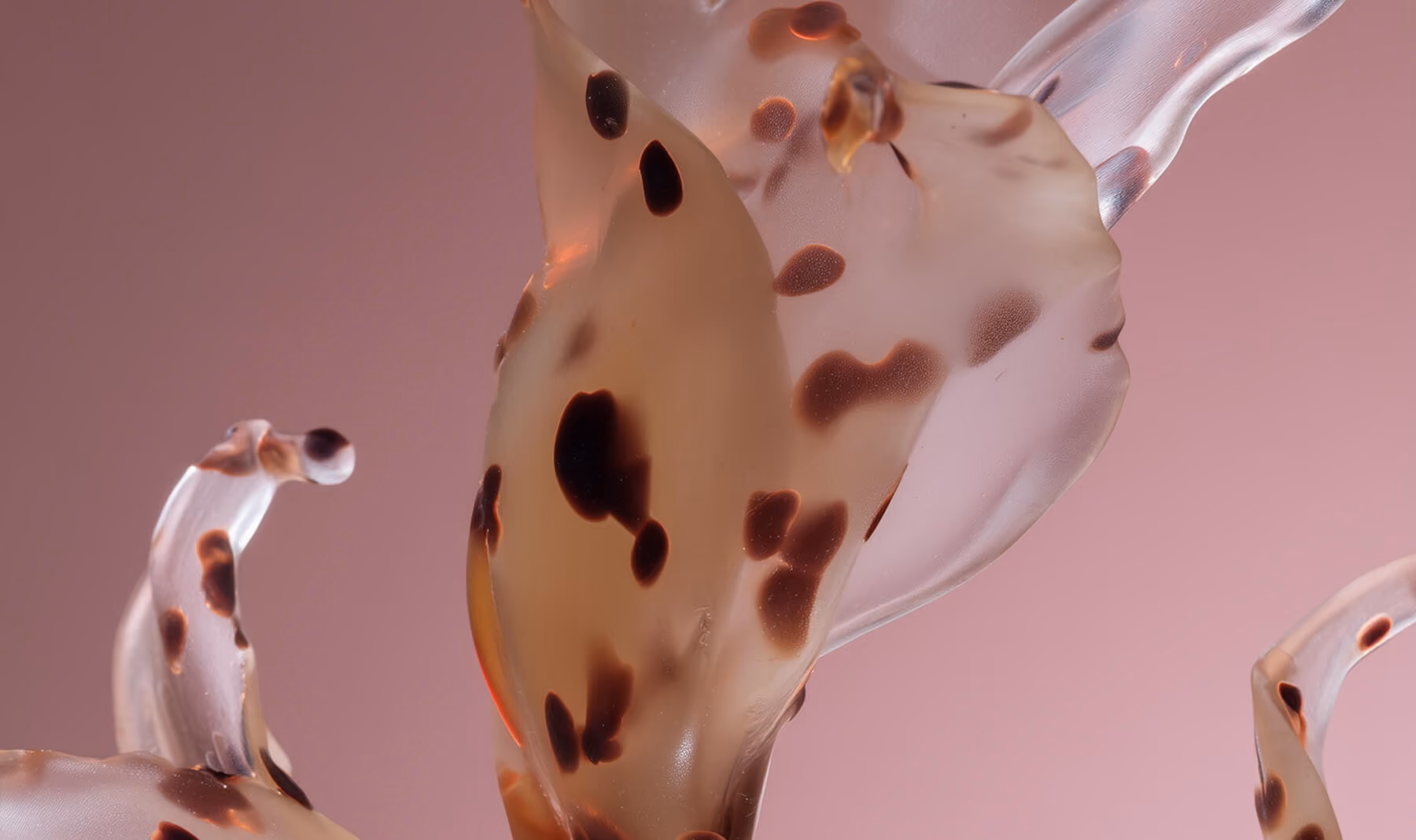 Demo image
